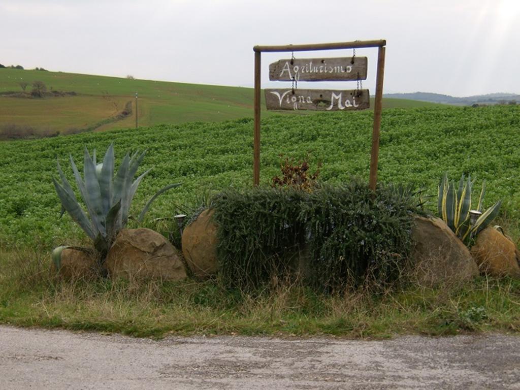 Agriturismo Vigna Mai Magliano in Toscana Kültér fotó